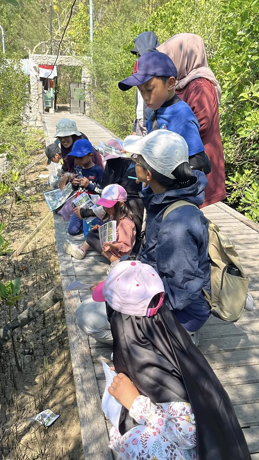 Peserta mengamati mangrove dari jalur kayu