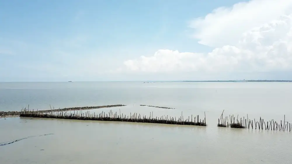 Struktur permeabel di zona pasang surut Tanjung Widoro